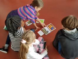 Was ist Schönheit 2018 