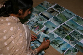 Soro 2005