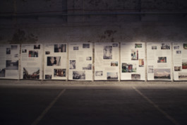 Mein Leben in Österreich 2014