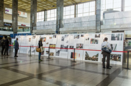 Mein Leben in Österreich 2014