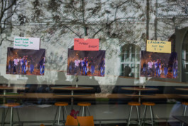 Alle Macht den Bildern 2015 